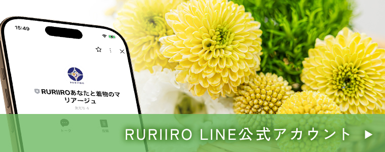 RURIIRO LINE公式アカウント